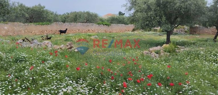 Οικόπεδο 3.417 τ.μ. για πώληση, Ν. Ρεθύμνου, Νικηφόρος Φωκάς