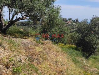 Οικόπεδο 2.509 τ.μ. για πώληση, Ν. Χανίων, Πλατανιάς-thumb-1