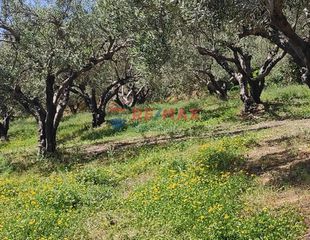 Οικόπεδο 2.509 τ.μ. για πώληση, Ν. Χανίων, Πλατανιάς-thumb-5