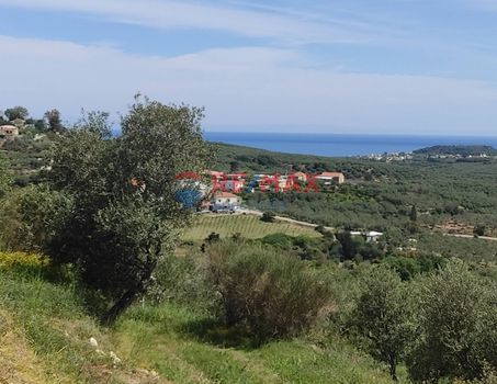 Land plot 2.509sqm for sale-Platanias