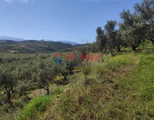 Οικόπεδο 2.509 τ.μ. για πώληση, Ν. Χανίων, Πλατανιάς-thumb-12