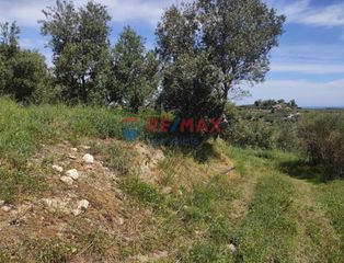 Οικόπεδο 2.509 τ.μ. για πώληση, Ν. Χανίων, Πλατανιάς-thumb-17