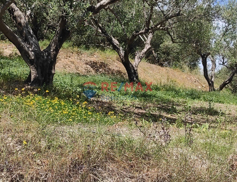 Οικόπεδο 2.509 τ.μ. προς πώληση, Κυπάρισσος Πλατανιά
