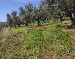 Οικόπεδο 2.509 τ.μ. για πώληση, Ν. Χανίων, Πλατανιάς-thumb-13