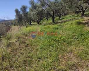 Οικόπεδο 2.509 τ.μ. για πώληση, Ν. Χανίων, Πλατανιάς-thumb-14