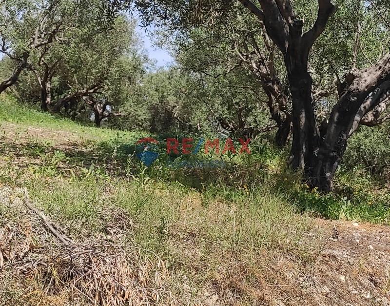 Οικόπεδο 2.509 τ.μ. προς πώληση, Κυπάρισσος Πλατανιά