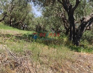 Οικόπεδο 2.509 τ.μ. για πώληση, Ν. Χανίων, Πλατανιάς-thumb-3