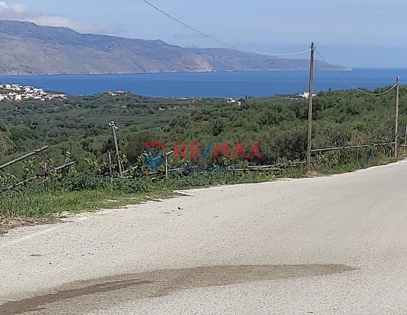 Οικόπεδο 2.660 τ.μ. προς πώληση, Κυπάρισσος Πλατανιά