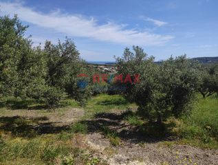Οικόπεδο 2.660 τ.μ. για πώληση, Ν. Χανίων, Πλατανιάς-thumb-9