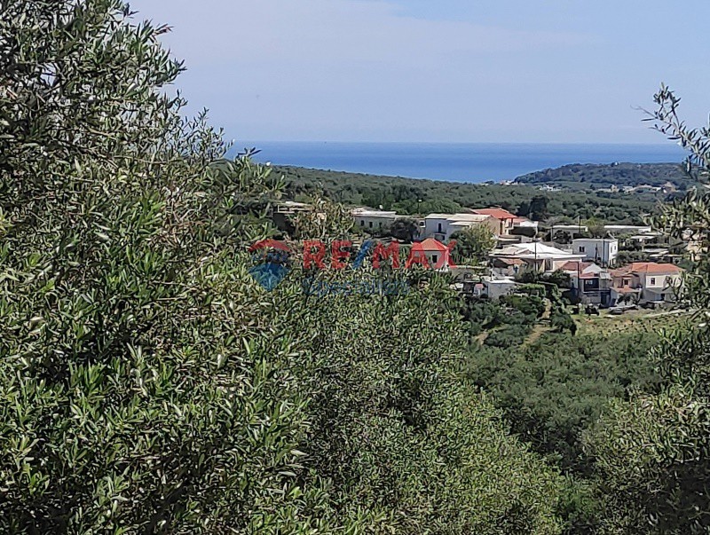 Οικόπεδο 2.660 τ.μ. προς πώληση, Κυπάρισσος Πλατανιά