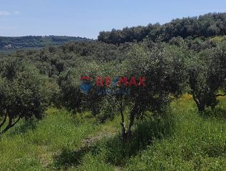 Οικόπεδο 2.660 τ.μ. για πώληση, Ν. Χανίων, Πλατανιάς-thumb-6