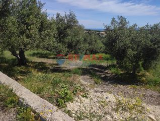Οικόπεδο 2.660 τ.μ. για πώληση, Ν. Χανίων, Πλατανιάς-thumb-11