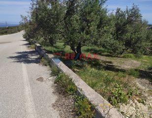 Οικόπεδο 2.660 τ.μ. για πώληση, Ν. Χανίων, Πλατανιάς-thumb-10