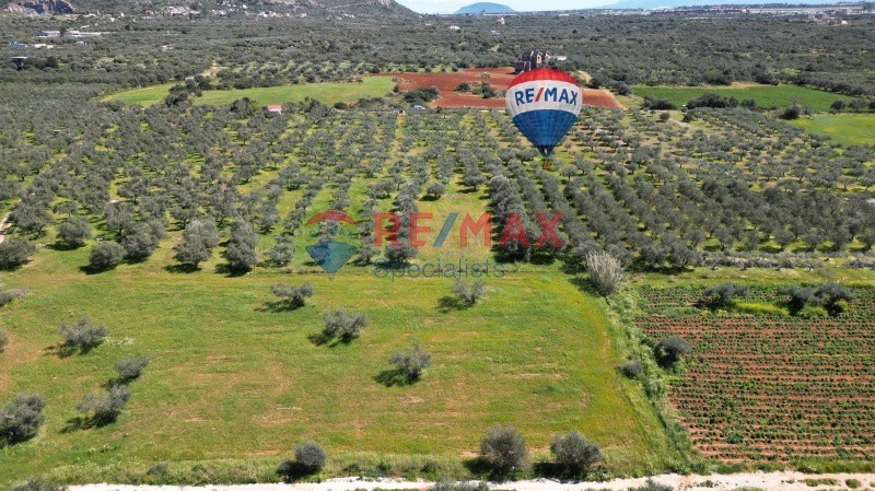 Οικόπεδο 18.011 τ.μ. προς πώληση, Μονή Αγίας Τριάδος των Τζαγκαρόλων