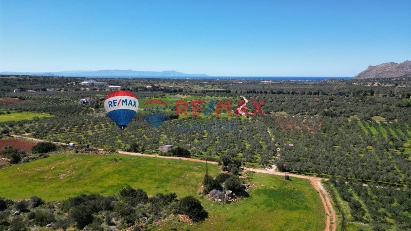 Οικόπεδο 18.011 τ.μ. προς πώληση, Μονή Αγίας Τριάδος των Τζαγκαρόλων