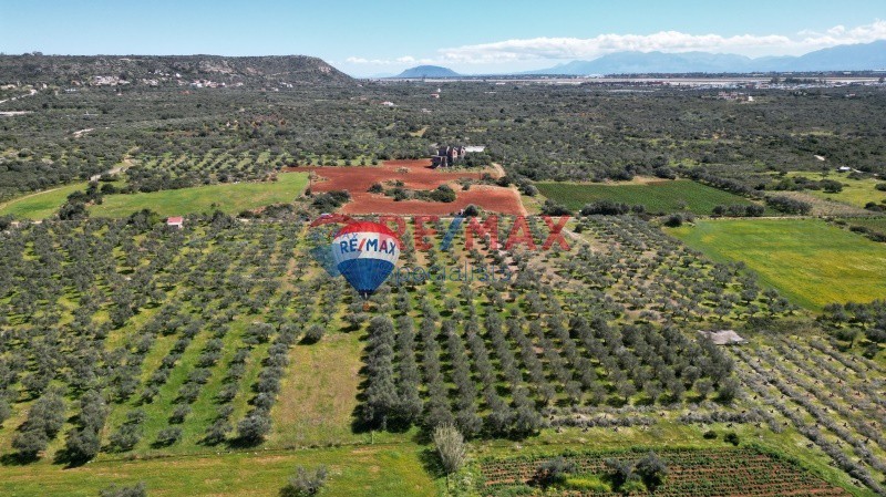 Οικόπεδο 18.011 τ.μ. προς πώληση, Μονή Αγίας Τριάδος των Τζαγκαρόλων