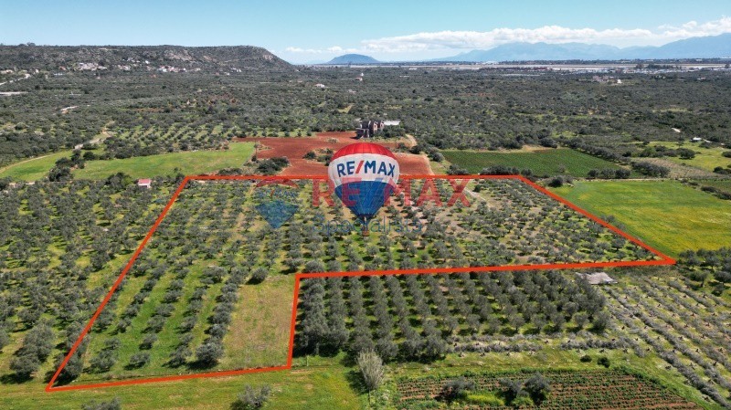 Οικόπεδο 18.011 τ.μ. προς πώληση, Μονή Αγίας Τριάδος των Τζαγκαρόλων