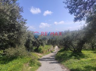 Οικόπεδο 1.692 τ.μ. για πώληση, Ν. Χανίων, Κολυμβάρι-thumb-1