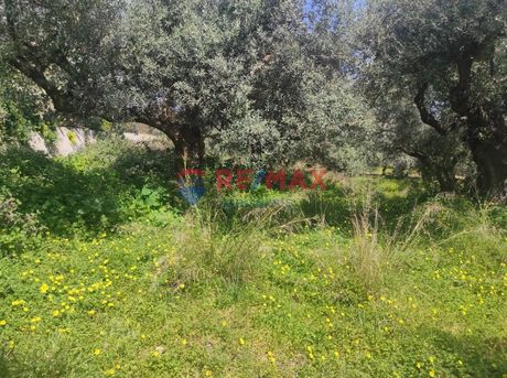 Land plot 1.692sqm for sale-Kolimvari