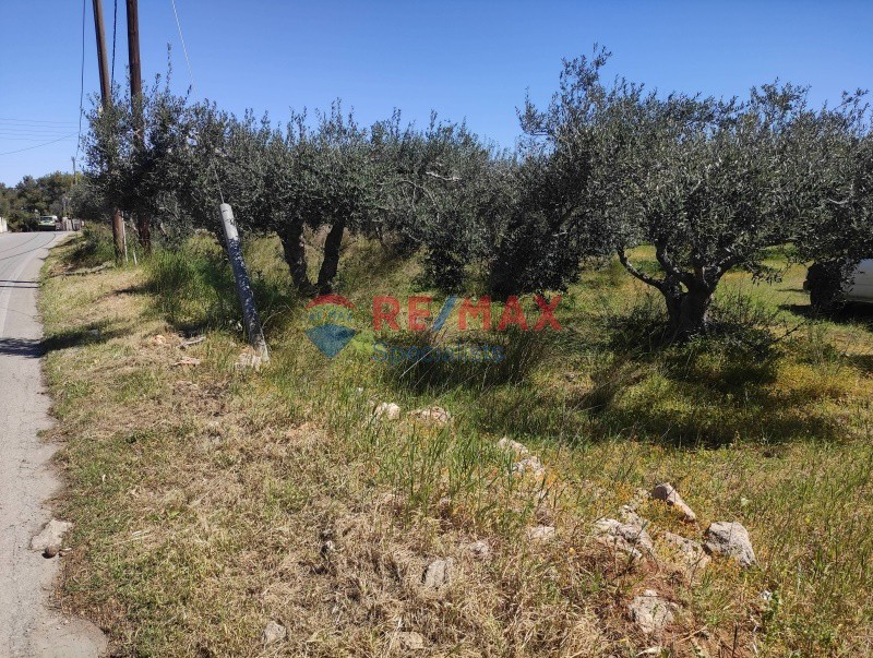 Οικόπεδο 1.000 τ.μ. προς πώληση, Καλαθάς Ακρωτηρίου