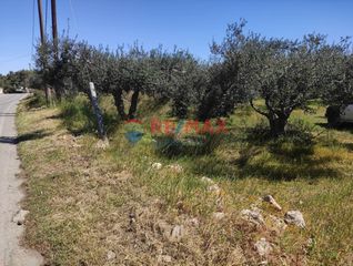 Οικόπεδο 1.000 τ.μ. για πώληση, Ν. Χανίων, Ακρωτήρι-thumb-1