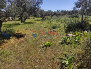 Μεζονέτα 140 τ.μ. για πώληση