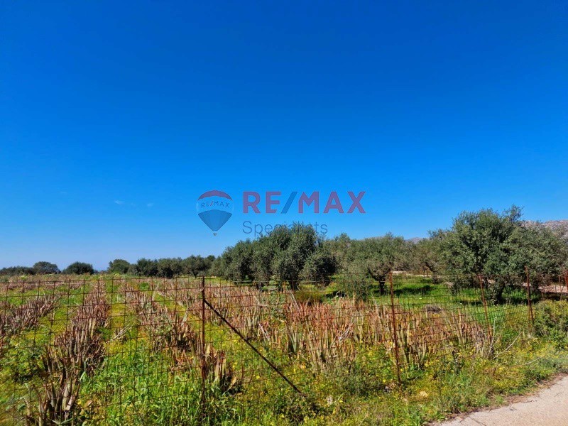 Οικόπεδο 9.419 τ.μ. προς πώληση, Μουζουράς