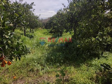 Land plot 2.230sqm for sale-Mousouroi