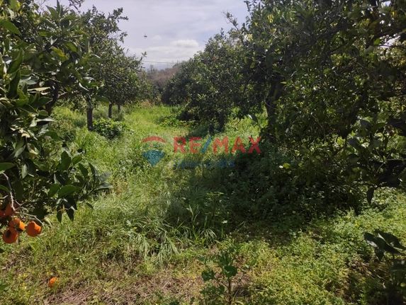 Οικόπεδο 2.230 τ.μ. για πώληση, Ν. Χανίων, Μουσούροι