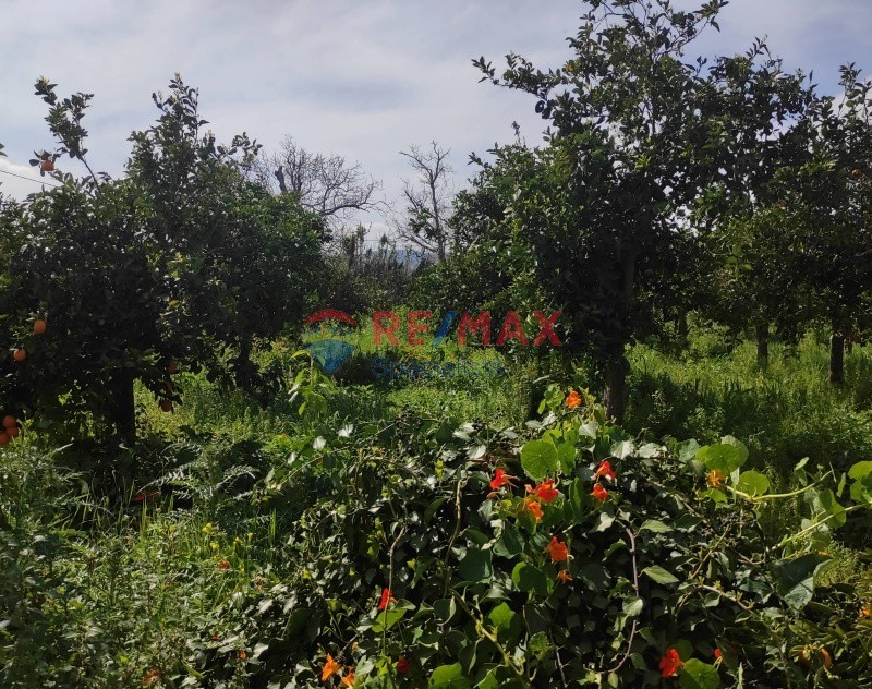Οικόπεδο 2.230 τ.μ. πρός πώληση, Ν. Χανίων, Μουσούροι