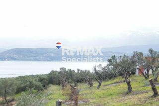 Οικόπεδο 6.736 τ.μ. για πώληση