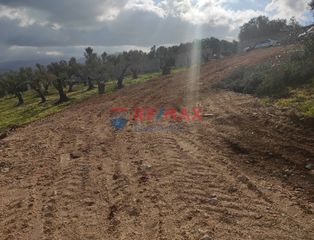 Οικόπεδο 6.736 τ.μ. πρός πώληση, Ν. Χανίων, Ακρωτήρι-thumb-7