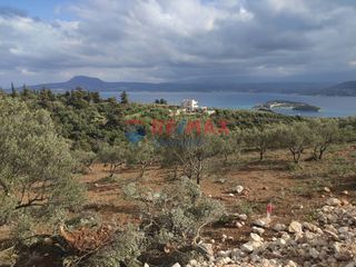 Οικόπεδο 6.736 τ.μ. πρός πώληση, Ν. Χανίων, Ακρωτήρι-thumb-5