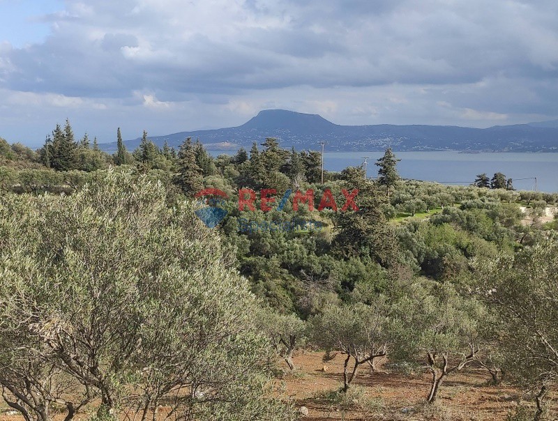 Οικόπεδο 6.736 τ.μ. πρός πώληση, Ν. Χανίων, Ακρωτήρι