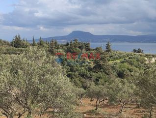 Οικόπεδο 6.736 τ.μ. πρός πώληση, Ν. Χανίων, Ακρωτήρι-thumb-4