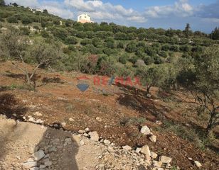 Οικόπεδο 6.736 τ.μ. πρός πώληση, Ν. Χανίων, Ακρωτήρι-thumb-3