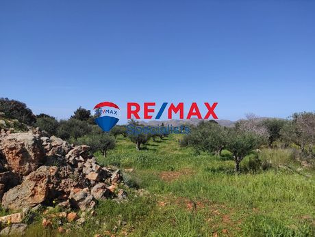 Land plot 10.170sqm for sale-Akrotiri