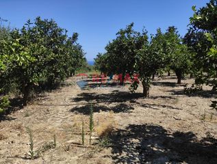 Οικόπεδο 2.980 τ.μ. για πώληση, Ν. Χανίων, Πλατανιάς-thumb-9