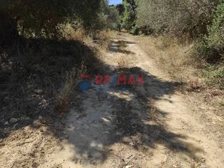 Οικόπεδο 2.980 τ.μ. για πώληση, Ν. Χανίων, Πλατανιάς-thumb-10