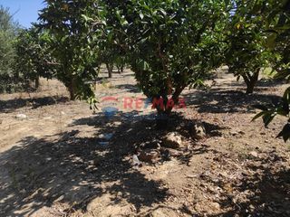 Οικόπεδο 2.980 τ.μ. για πώληση, Ν. Χανίων, Πλατανιάς-thumb-11