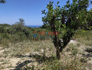 Οικόπεδο 2.980 τ.μ. για πώληση, Ν. Χανίων, Πλατανιάς-thumb-8