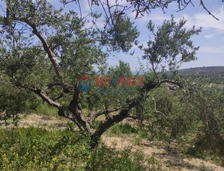 Οικόπεδο 3.500 τ.μ. για πώληση, Ν. Χανίων, Βουκολιές-thumb-12