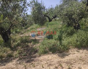 Οικόπεδο 3.500 τ.μ. για πώληση, Ν. Χανίων, Βουκολιές-thumb-16