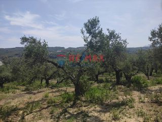 Οικόπεδο 3.500 τ.μ. για πώληση, Ν. Χανίων, Βουκολιές-thumb-8