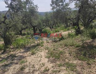 Οικόπεδο 3.500 τ.μ. για πώληση, Ν. Χανίων, Βουκολιές-thumb-9