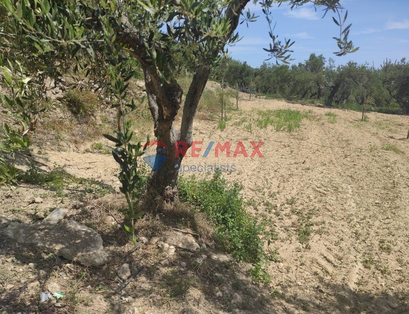 Οικόπεδο 3.500 τ.μ. προς πώληση, Ν. Χανίων, Βουκολιές