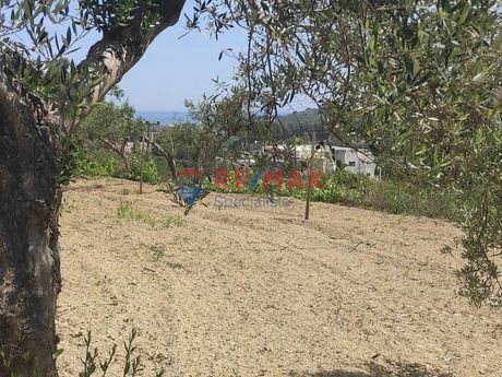 Land plot 3.500sqm for sale-Voukolies