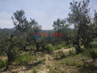 Οικόπεδο 3.500 τ.μ. για πώληση, Ν. Χανίων, Βουκολιές-thumb-7