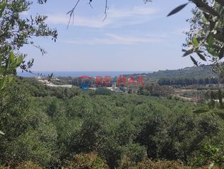 Οικόπεδο 3.500 τ.μ. για πώληση, Ν. Χανίων, Βουκολιές-thumb-19
