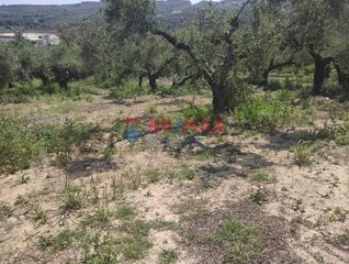 Οικόπεδο 3.500 τ.μ. για πώληση, Ν. Χανίων, Βουκολιές-thumb-10